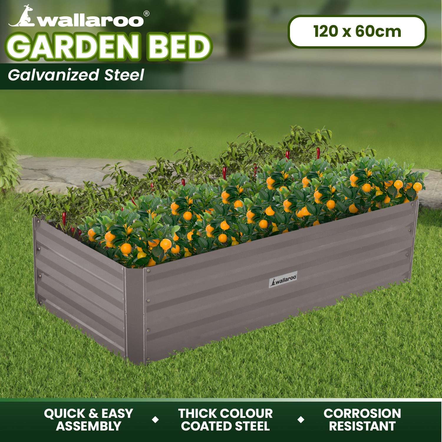 Wallaroo Garden Bed 120