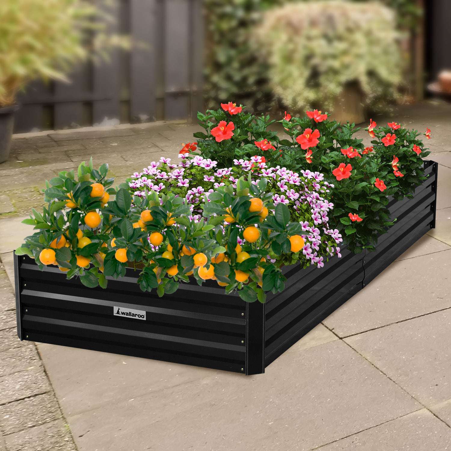 Wallaroo Garden Bed 210