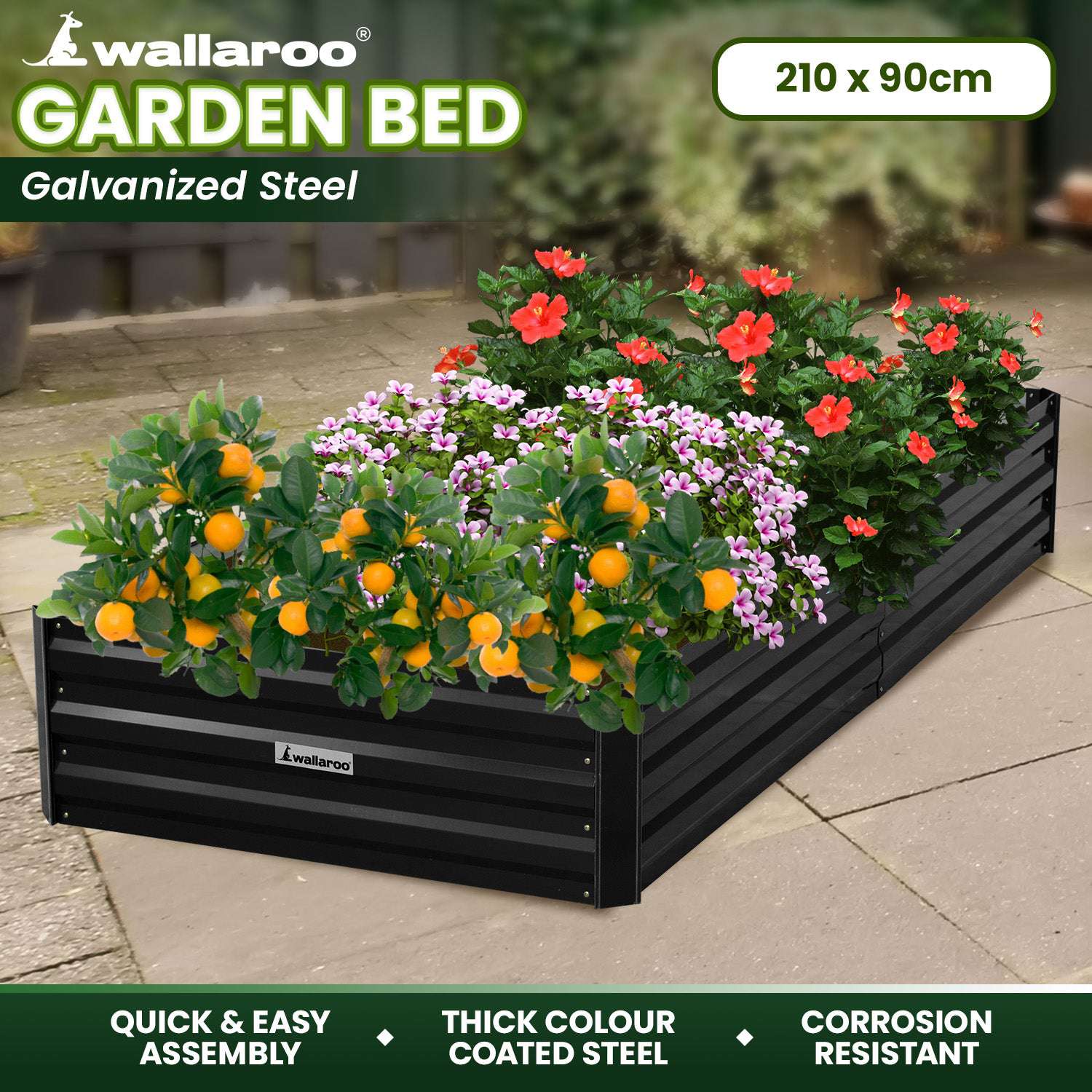 Wallaroo Garden Bed 210
