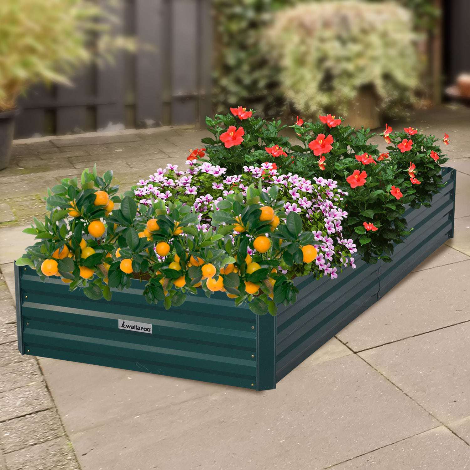 Wallaroo Garden Bed 210