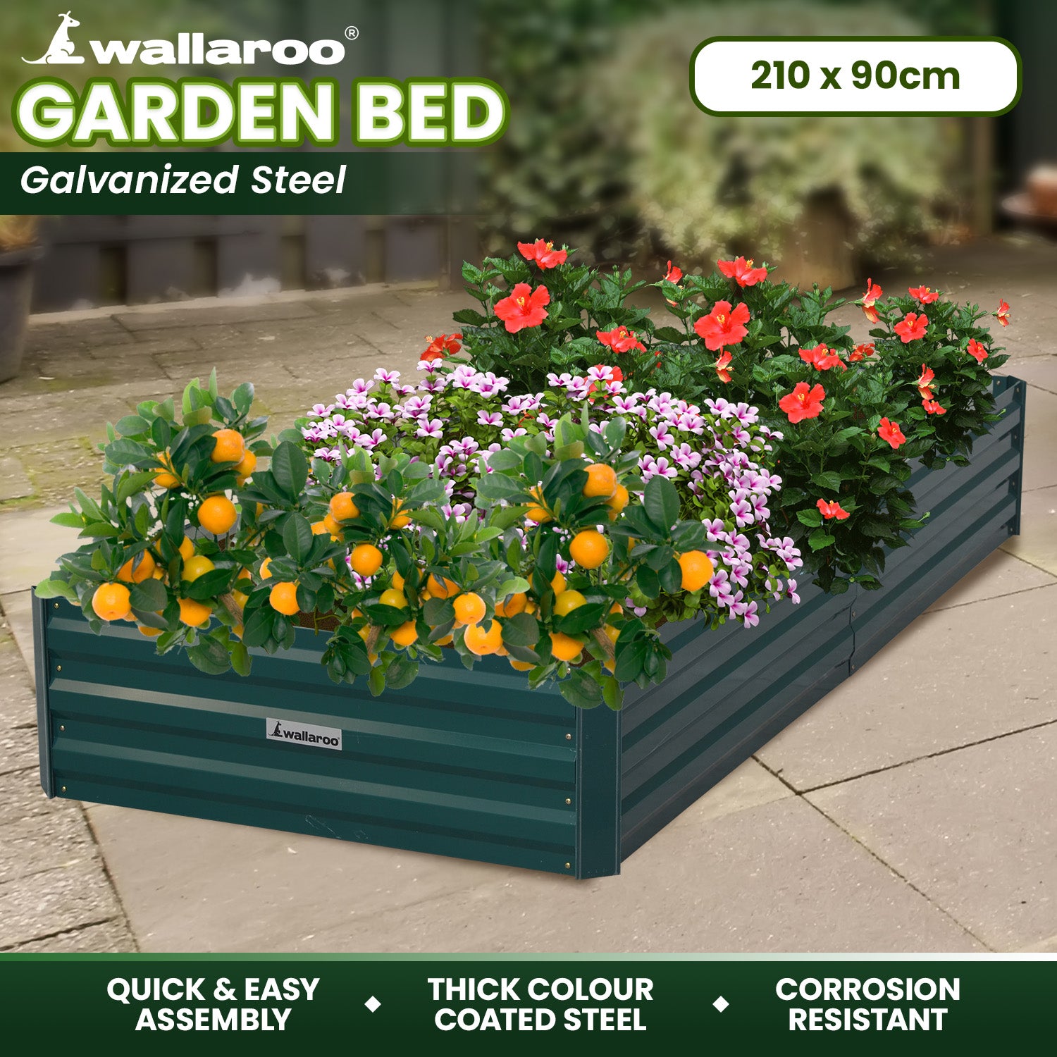 Wallaroo Garden Bed 210