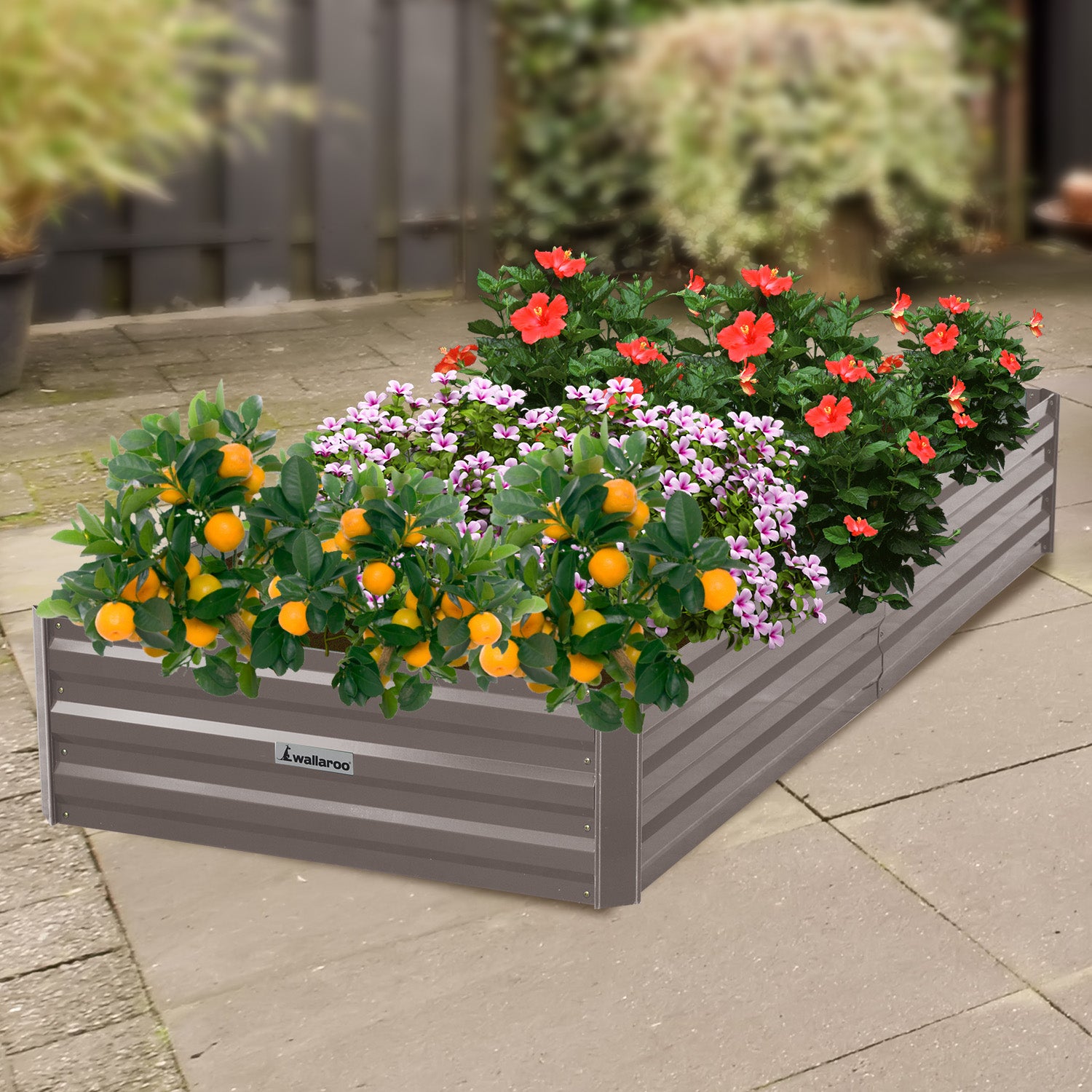 Wallaroo Garden Bed 210