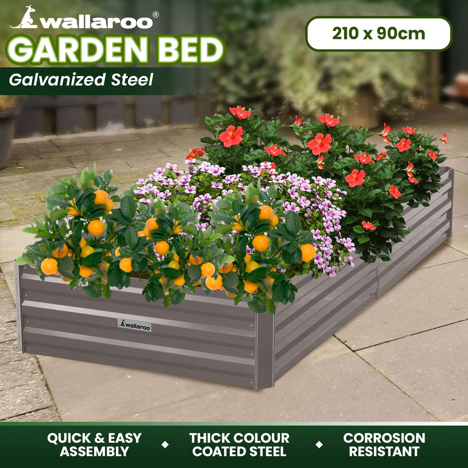 Wallaroo Garden Bed 210