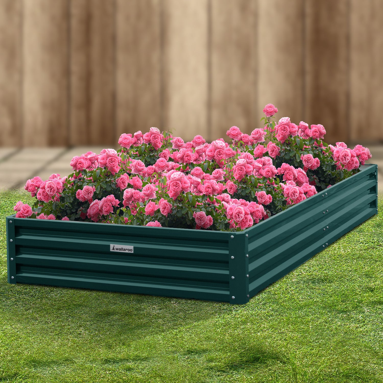 Wallaroo Garden Bed 240