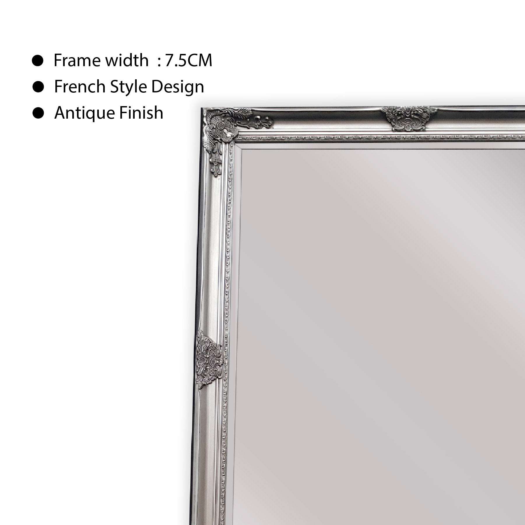 French Provincial Ornate Mirror - ANTIQUE SILVER-