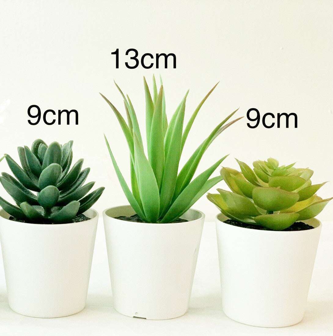 White Plastic 6cm Pot Interior Decoration