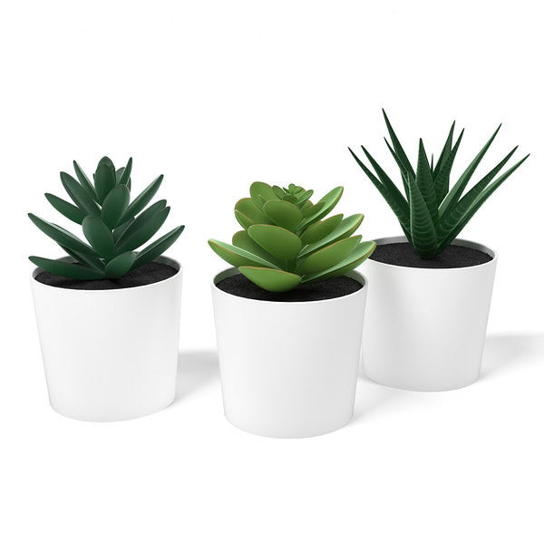 White Plastic 6cm Pot Interior Decoration