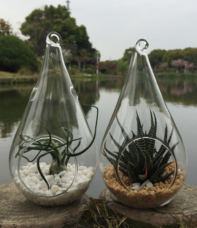 Clear teardrop glass candle holders with hanging loops; terrariums with pebbles and plants