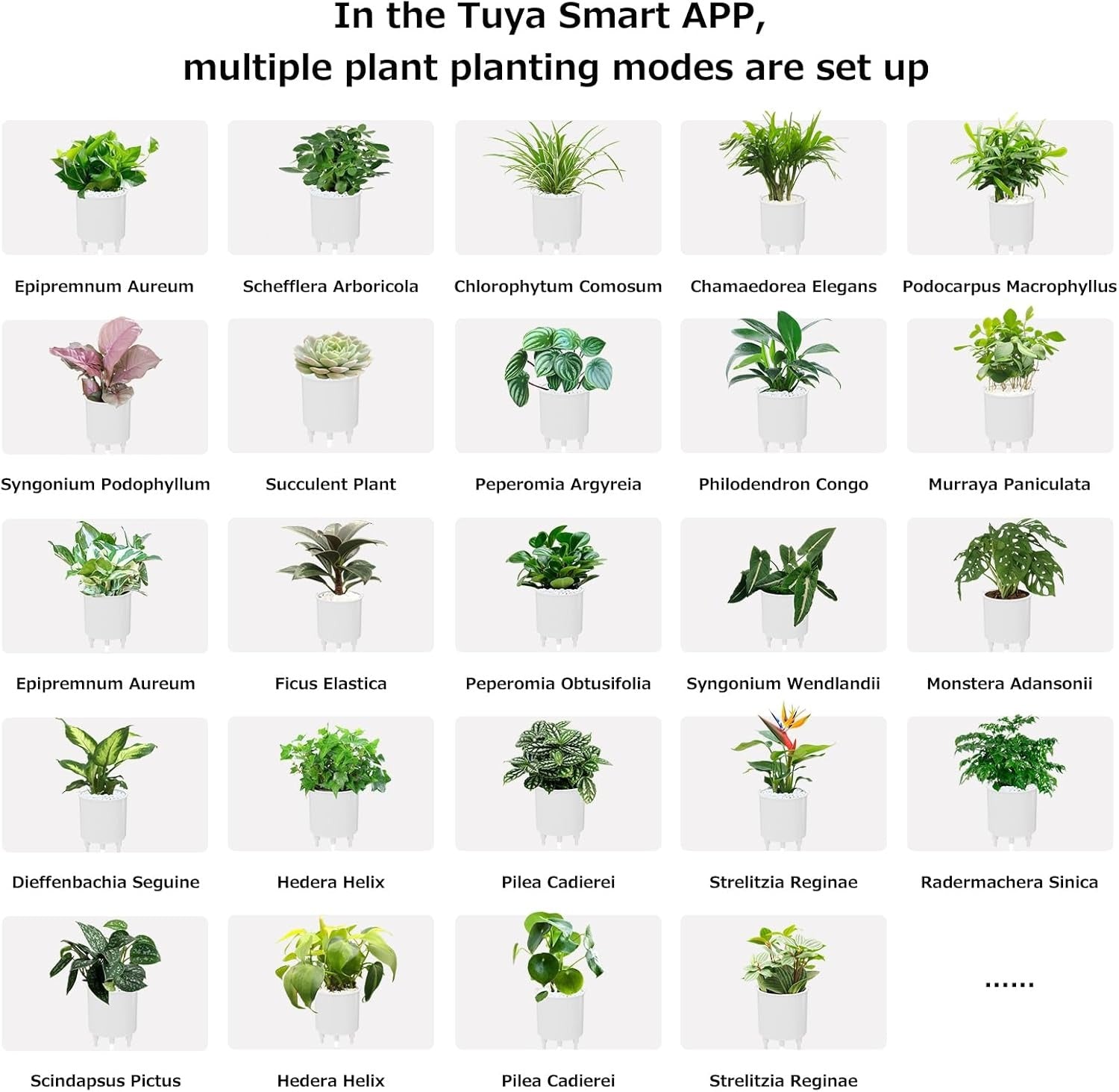 Intelligent Flower Pot, Electronic Bud, Maintenance Plant Assistant, Fun Interactive Flower Pot, Indoor Green Planting Monitoring, LCD Screen Display, Cell Phone APP Connection (White)