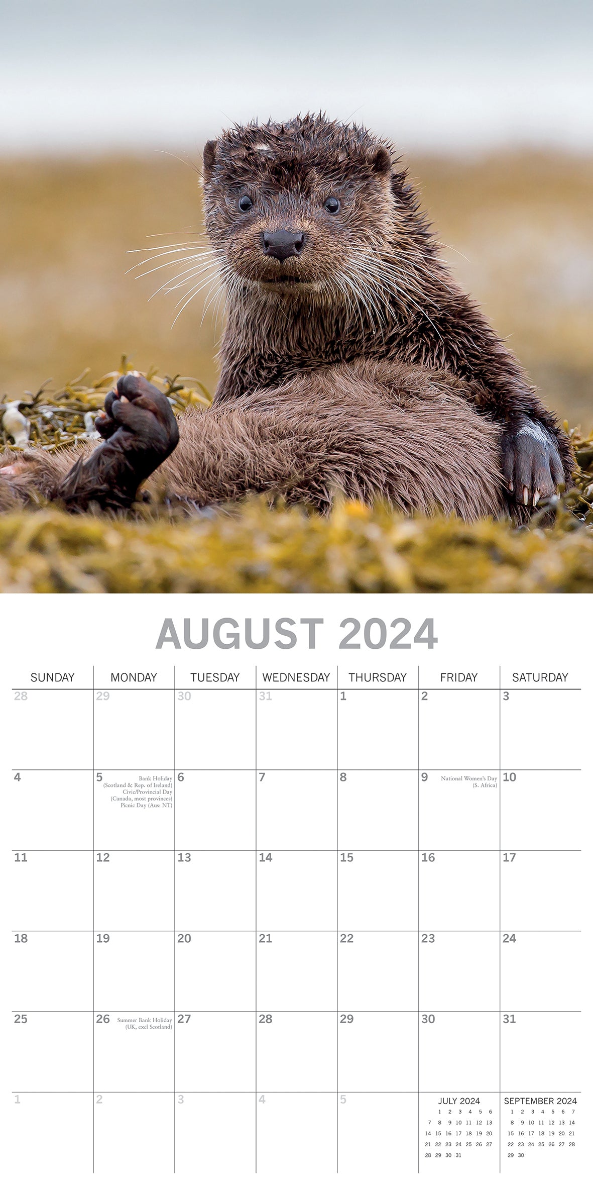 Country Wildlife 2024 Square Wall Calendar Cute Animals 16 Month Premium Planner