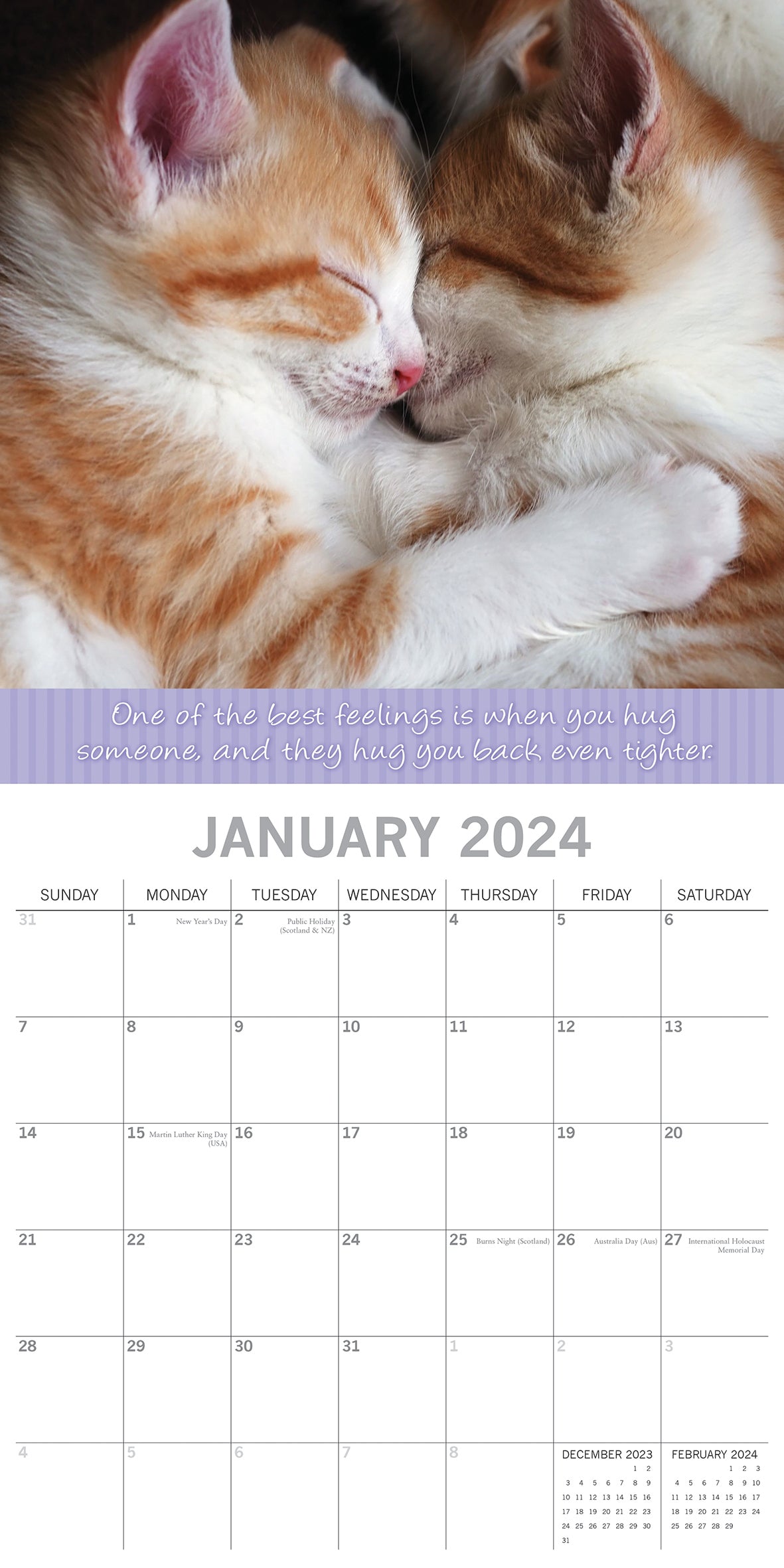 Hugs - 2024 Square Wall Calendar Pets Animals 16 Months Premium Planner New Year