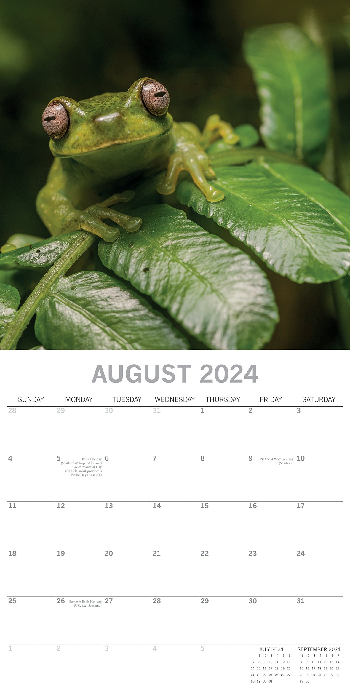 Jungles - 2024 Square Wall Calendar 16 Months Premium Planner Xmas New Year Gift