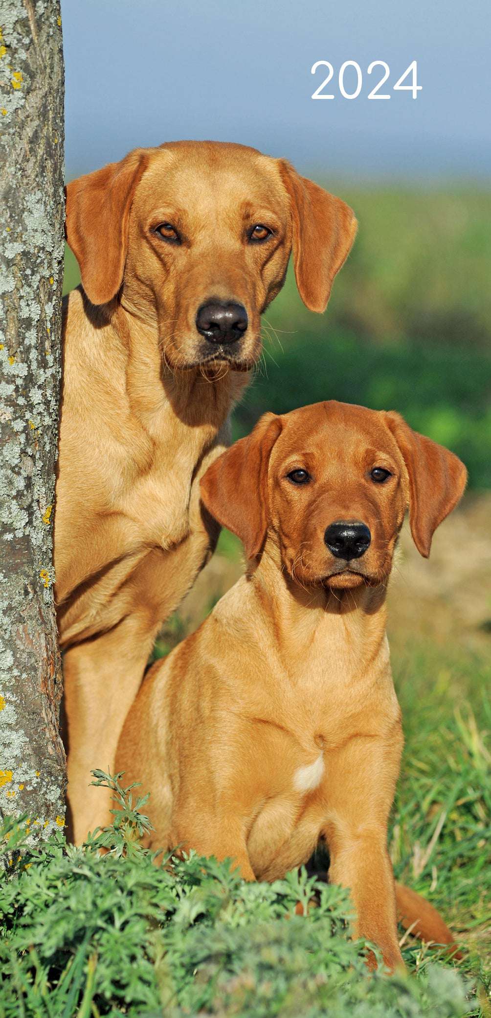 Dogs & Puppies - 2024 Flexi Pocket Diary Premium Planner Christmas New Year Gift