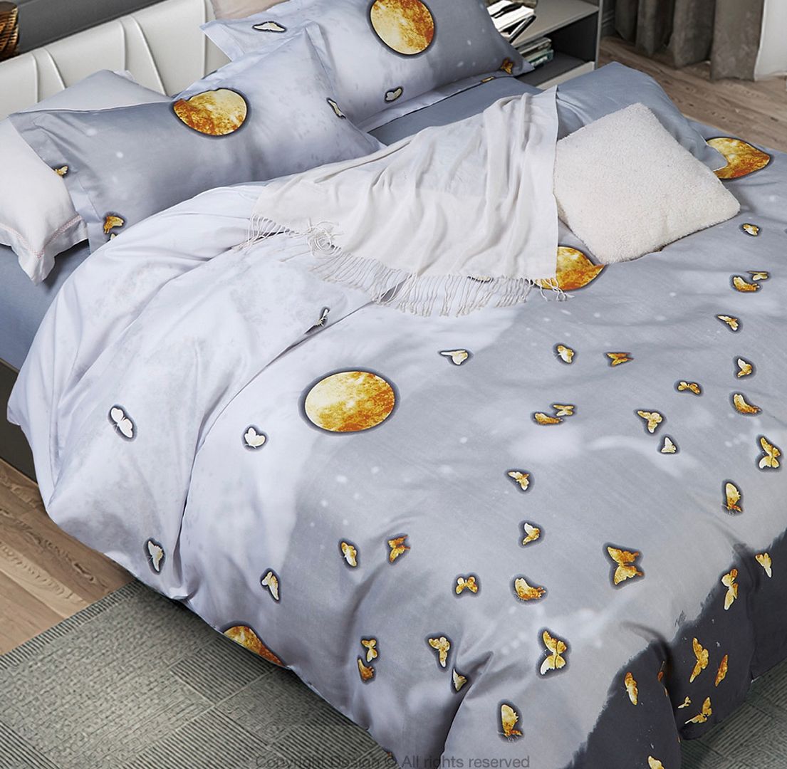 Gardinar Queen Size Quilt/Duvet Cover Set