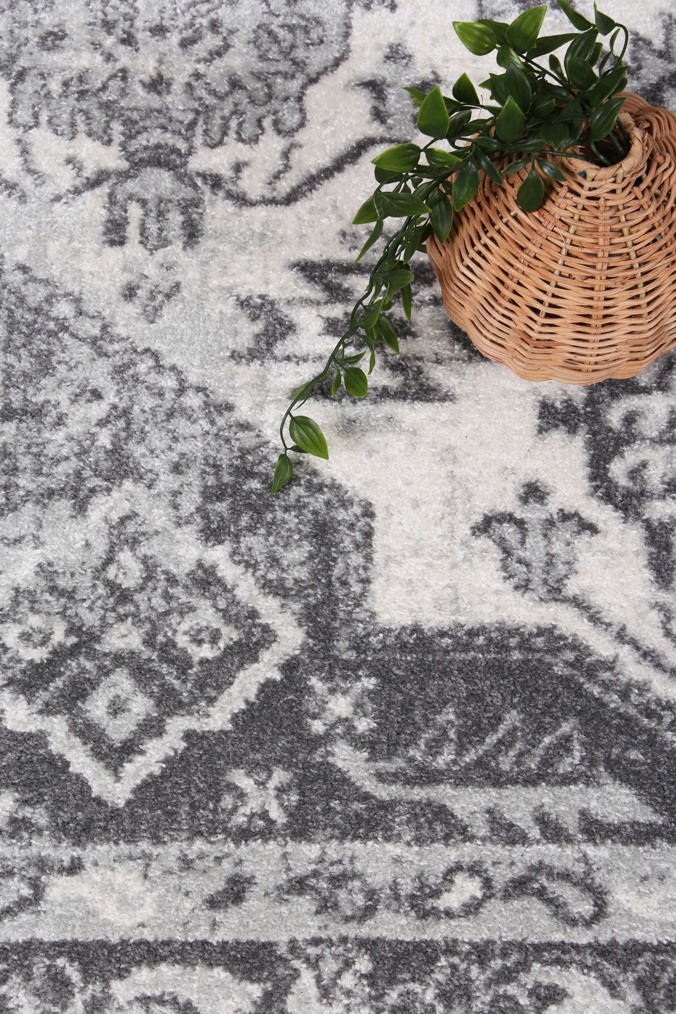 Provence Prov03 Cream/L.Grey 160x230