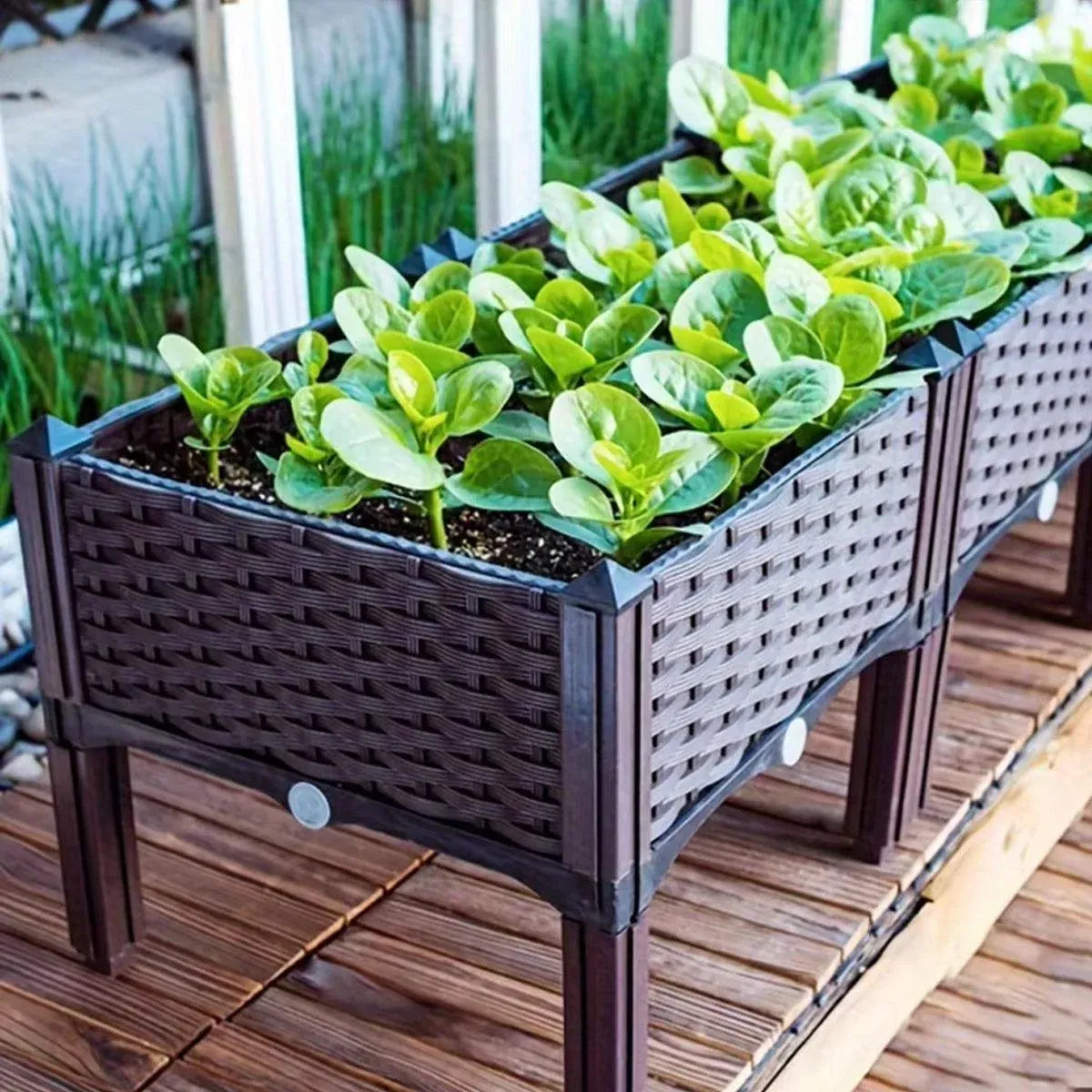 Outdoor Rectangular Balcony Vegetable Planter Box Garden Flower Planting Bedworld