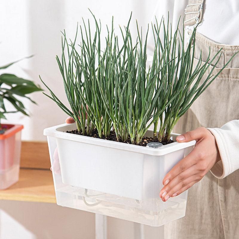 Balcony Vegetable Pot Planter Lazy Self Priming Flower Pot for Indoor Gardening - White Bedworld