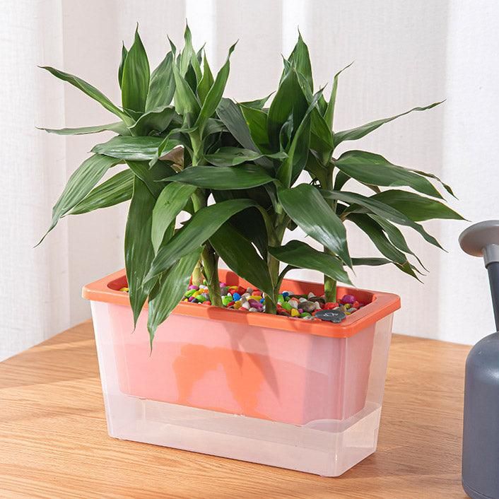 Balcony Vegetable Pot Planter Lazy Self Priming Flower Pot for Indoor Gardening - White Bedworld