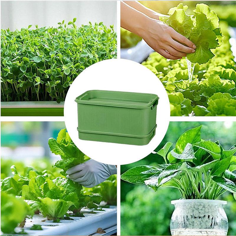 Seedling Tray Sprout Tray Soilless Hydroponic Planting Pot for Indoor Gardening - White