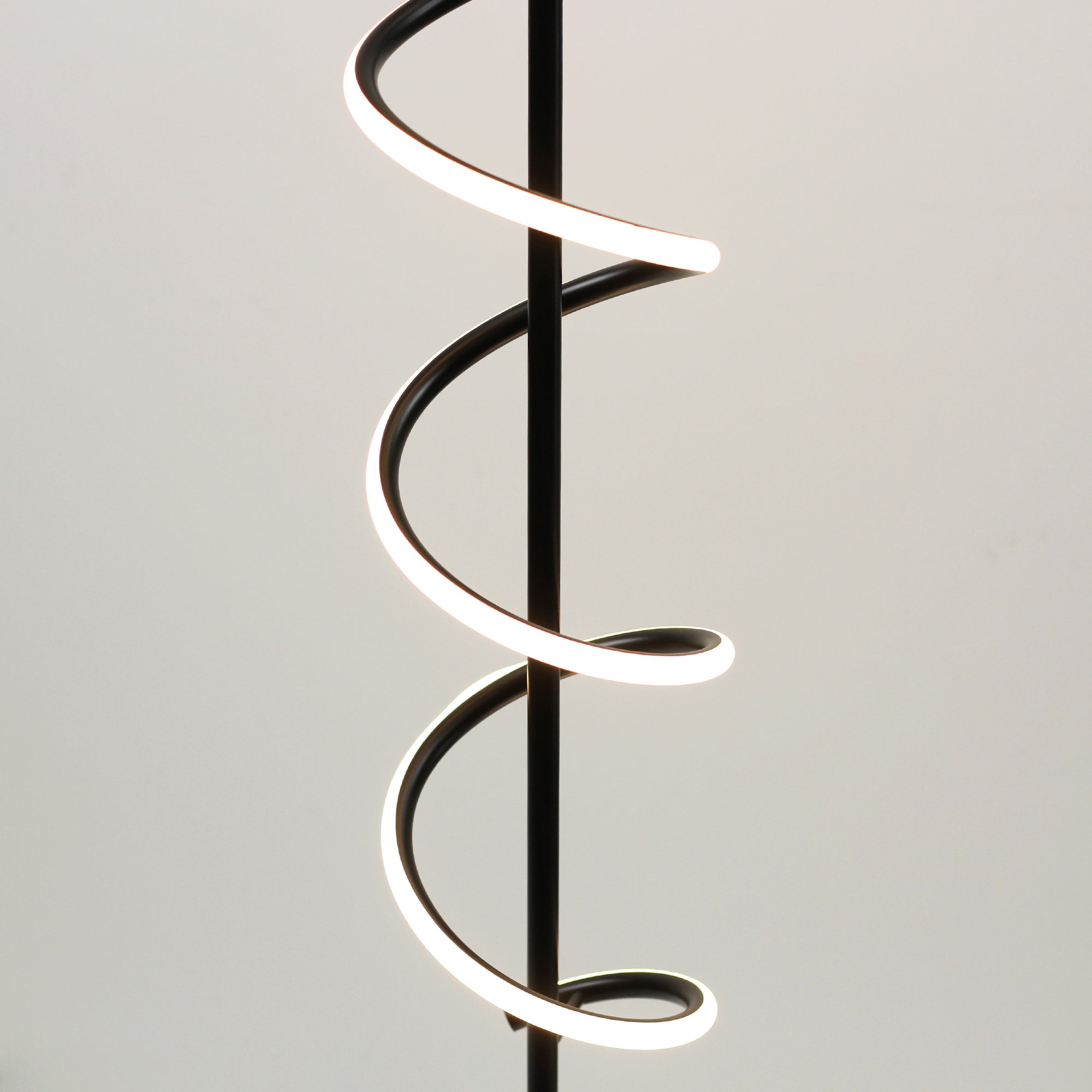 Cirrhi LED Floor Lamp - Black