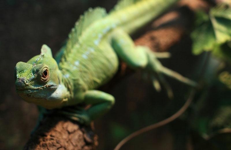 Enhance Image Quality with Nd Filters for Gopro Hero4 / 3 / 3 Sports Action Camera