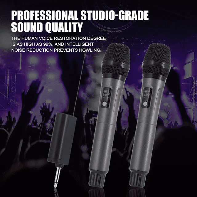 Hridz rechargeable UHF dual channel wireless microphone system for performances