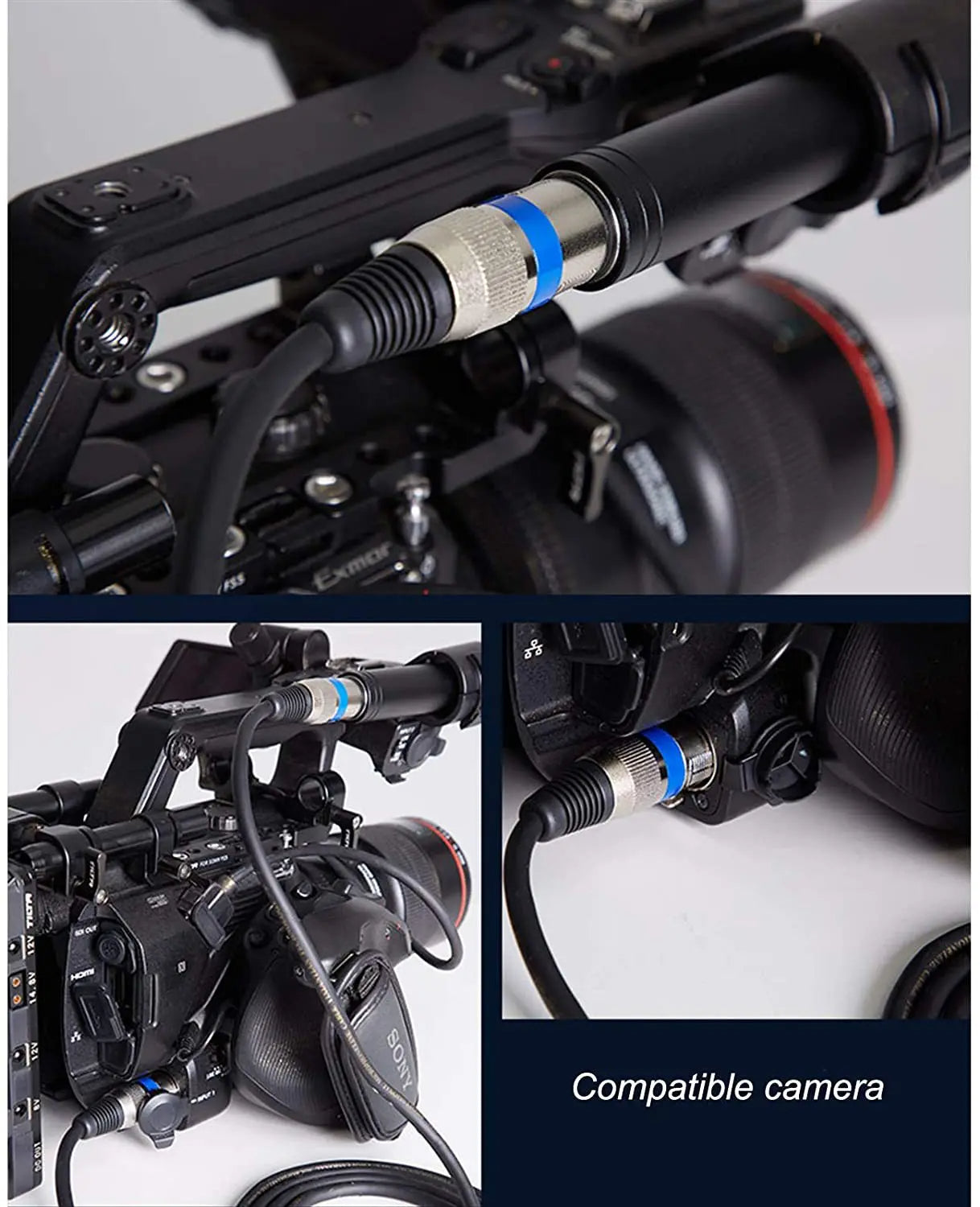 XLR male and female connectors with blue ring detail on audio cable
