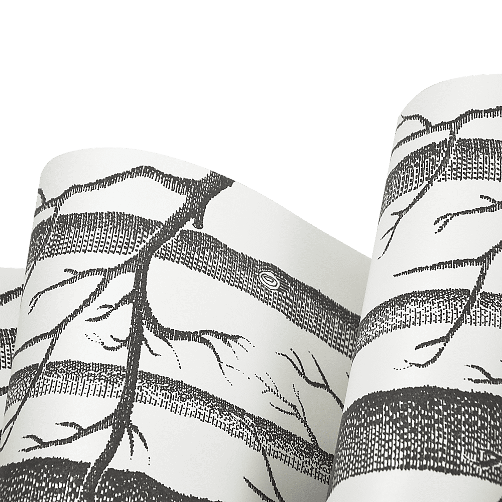 Wallpaper White Birch Tree Non-woven Wall Paper Roll