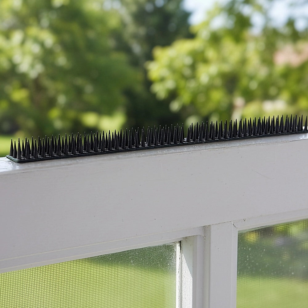 12pc Bird Spikes Human Cat Possum Mouse Pest Control Spiked Fence Wall Deterrent