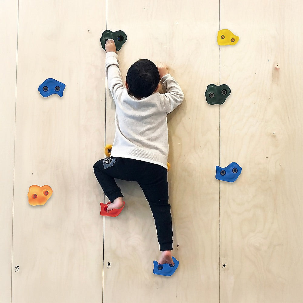 Rock climbing wall holds mounted on a wooden climbing wall in multiple colors.