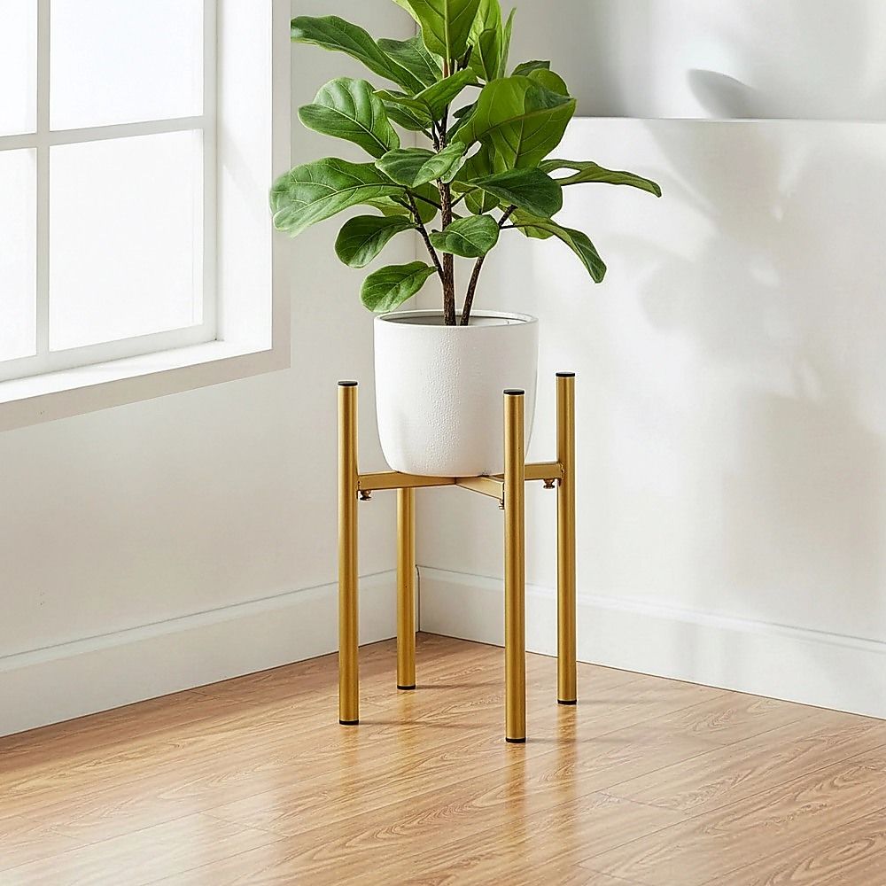 Gold metal plant stand holding a white pot with green leafy plants
