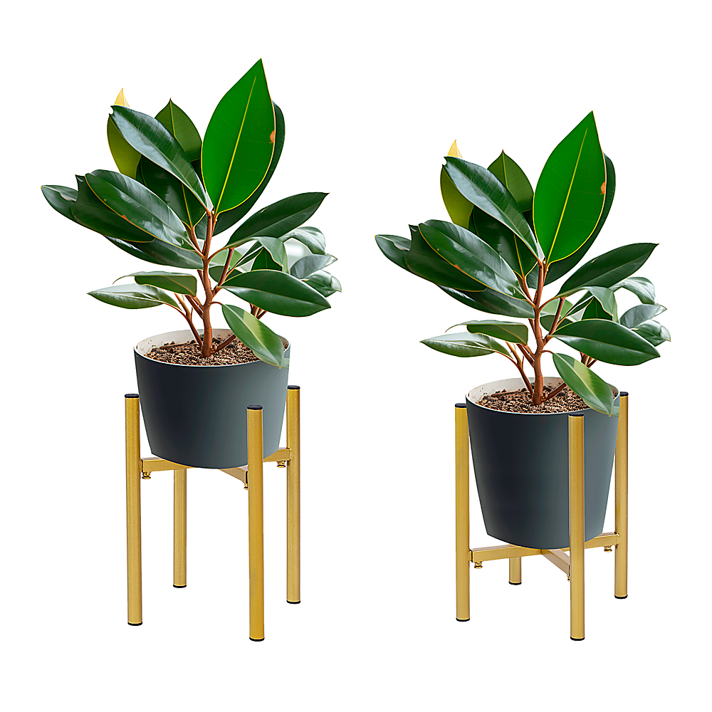 Pair of gold metal plant stands with potted plants on top and four vertical legs
