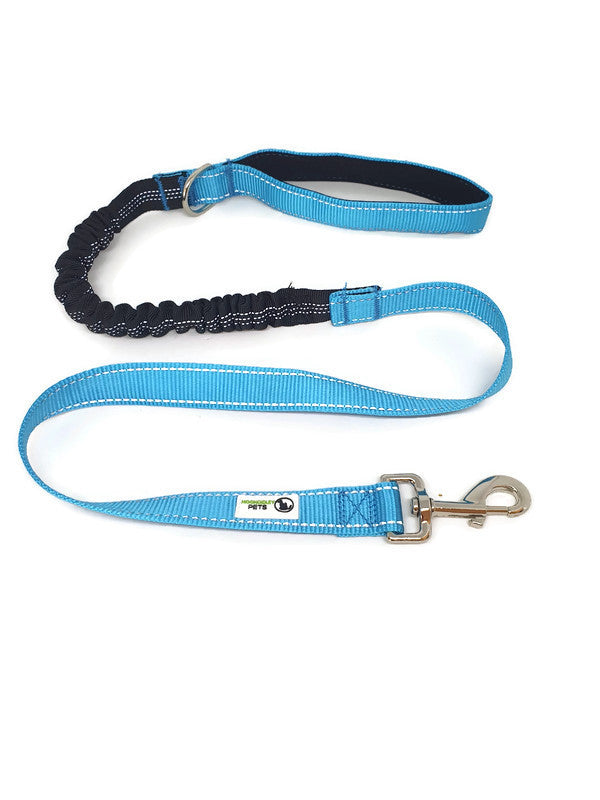 Light blue nylon dog bungee lead with reflective stitching and metal clasp clip