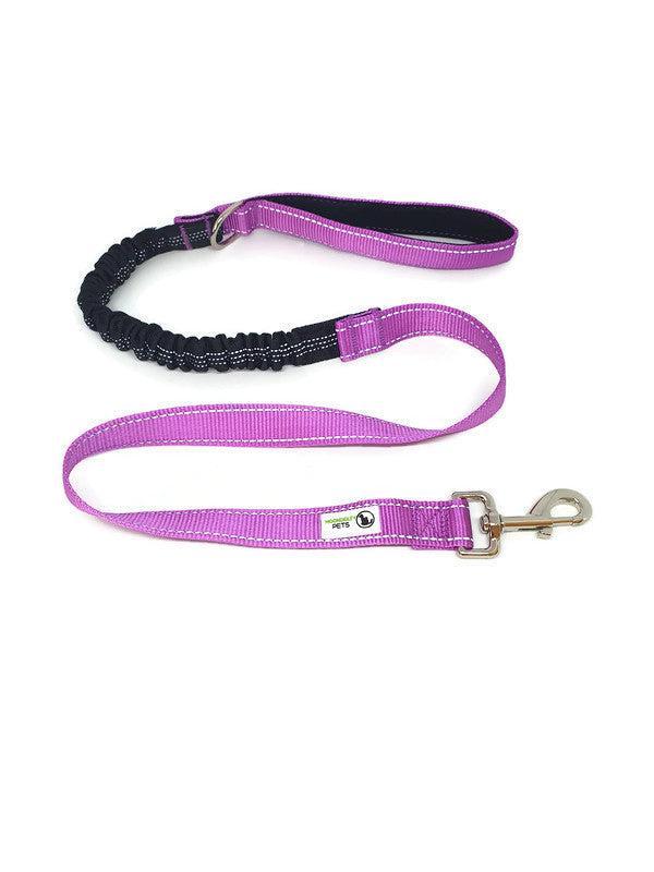 Purple bungee dog lead with reflective stitching and metal clip