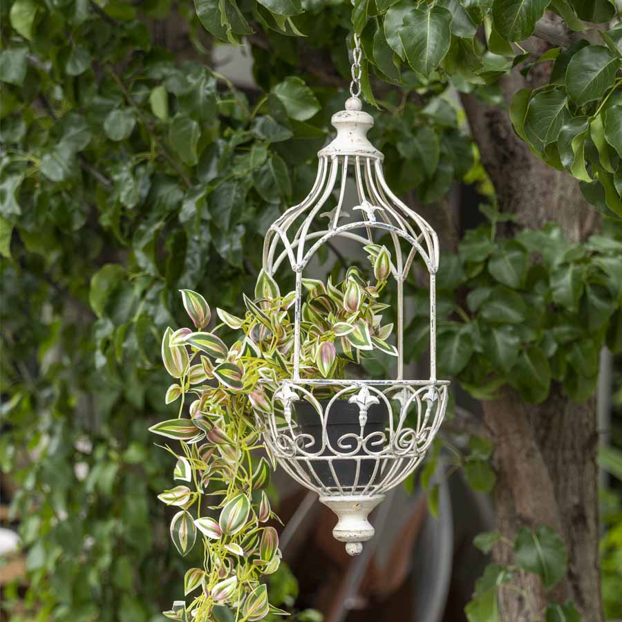 Martinique Classic Hanging Planter 20x62cm