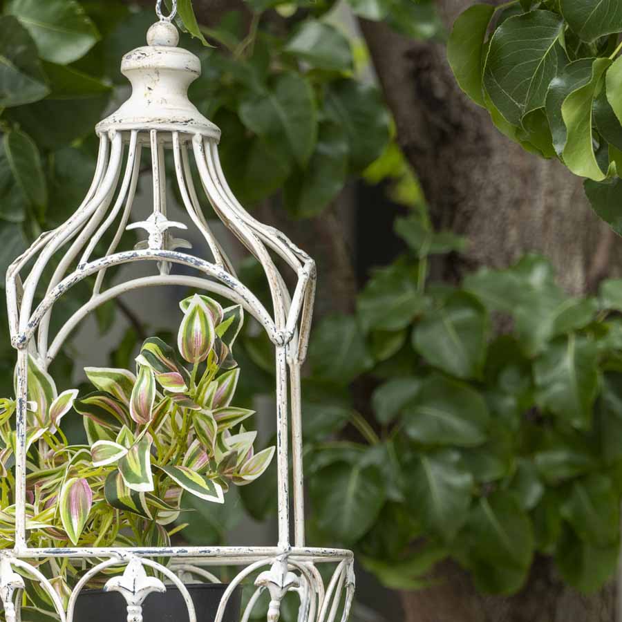 Martinique Classic Hanging Planter 20x62cm