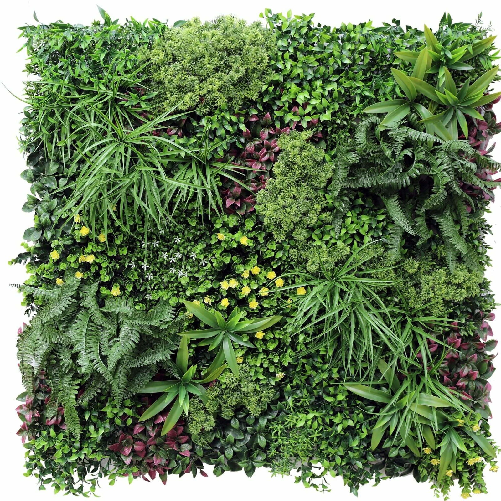 Luxury Country Fern Recycled Vertical Garden / Green Wall UV Resistant 100cm X 100cm