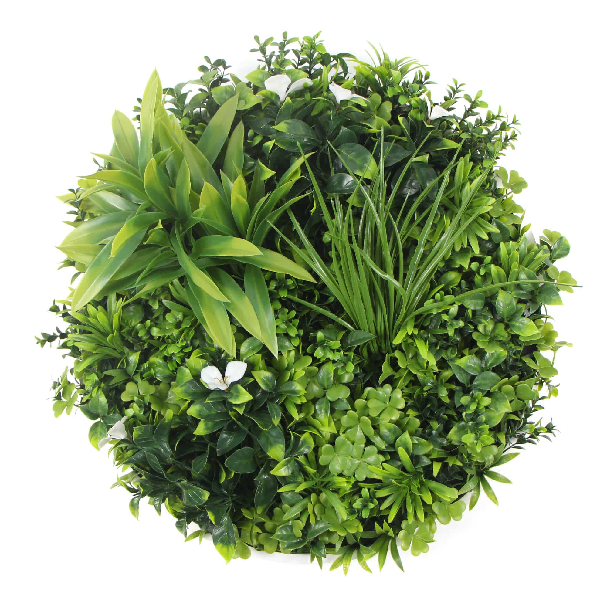 Two Flowering White Green Wall 50cm Discs and Six Flowering Stems Bundle