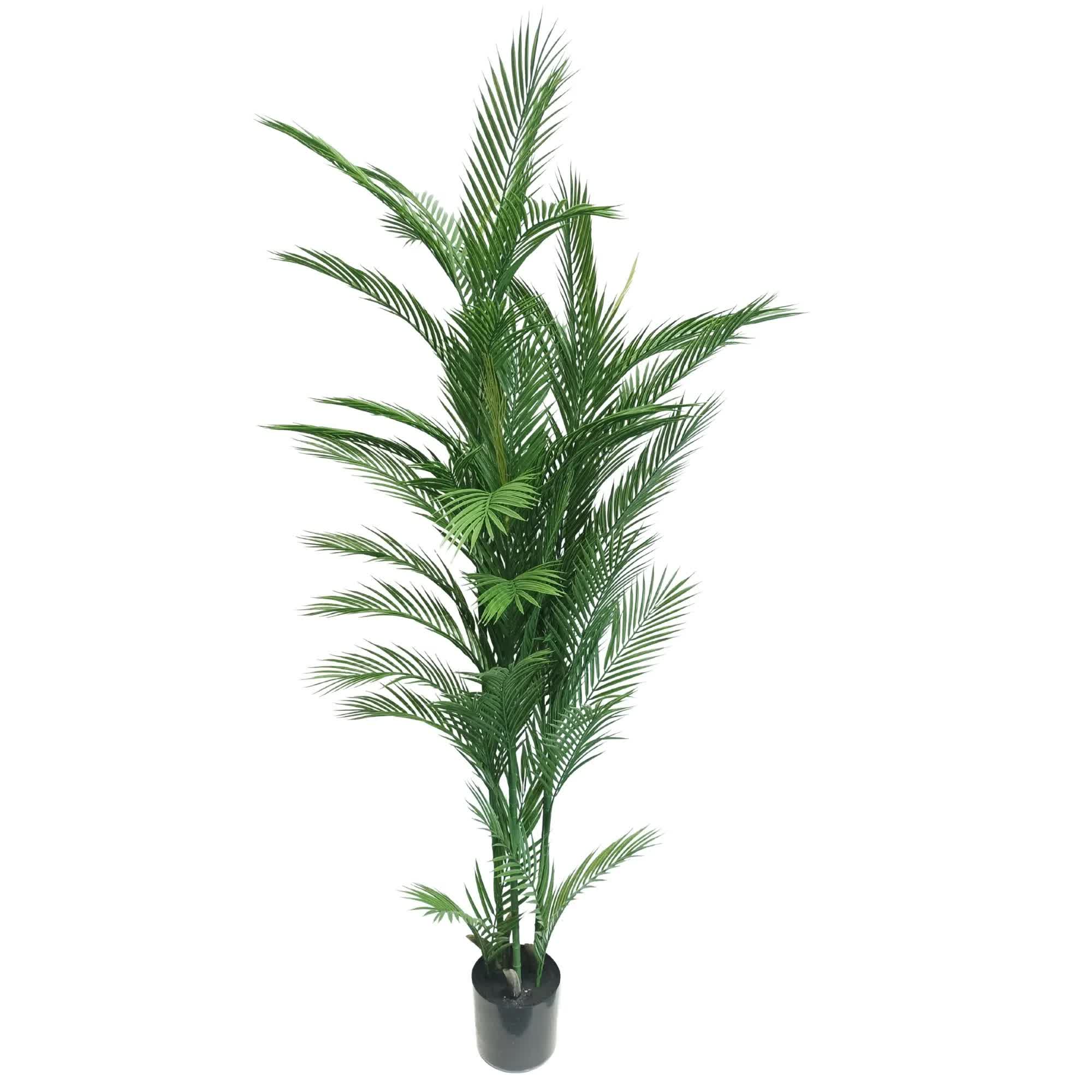 Real Touch Artificial Phoenix Palm Tree UV Resistant 180cm