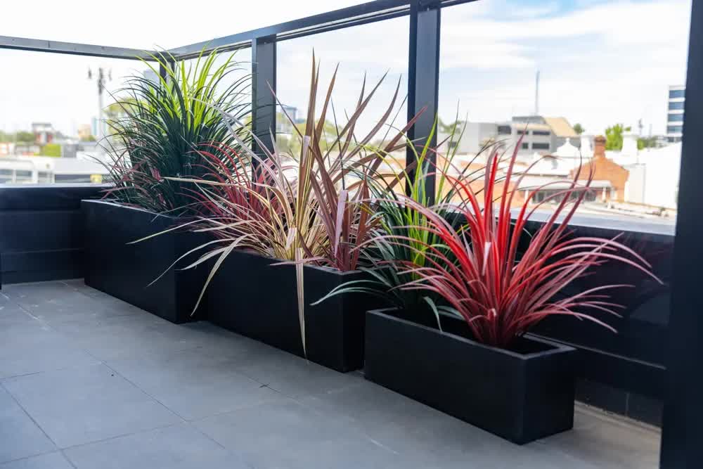 Luxury Black Terrazzo Concrete Planter Set of 3