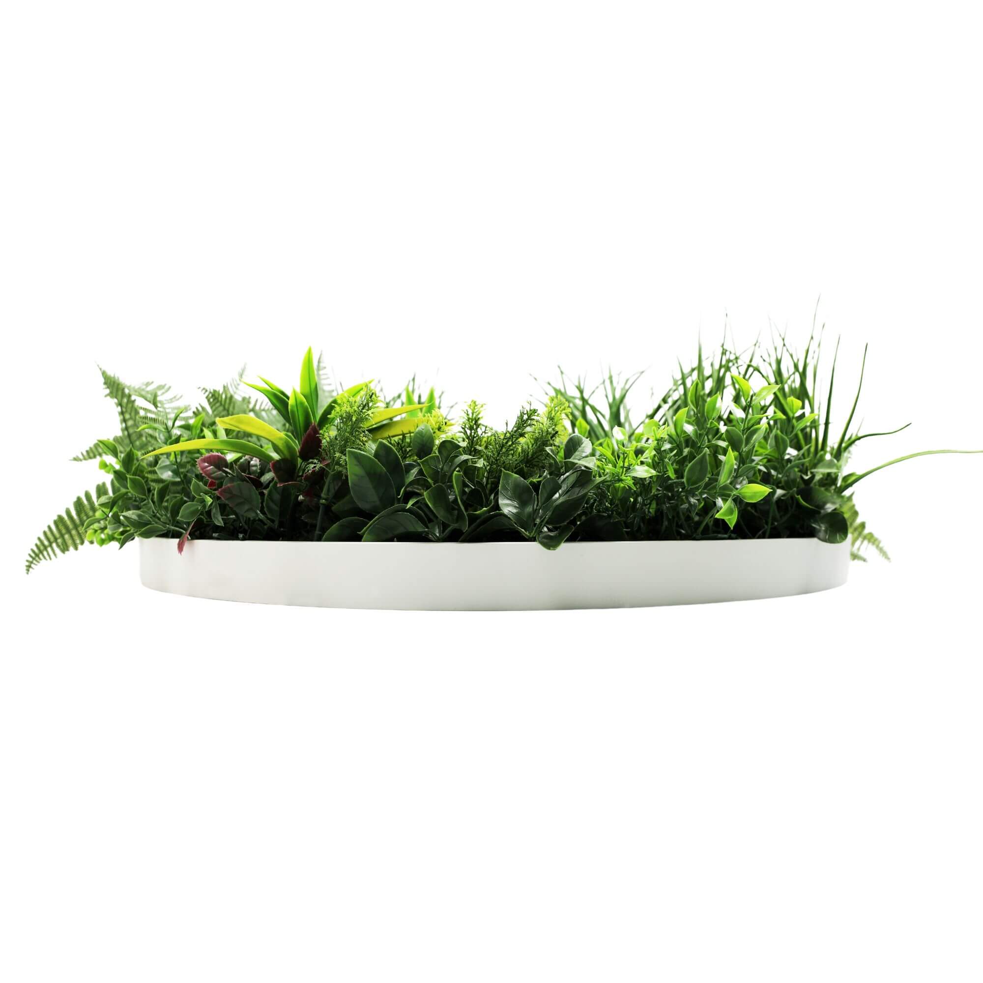 Slimline Artificial Green Wall Disc Art 80cm Country Fern UV Resistant (White)