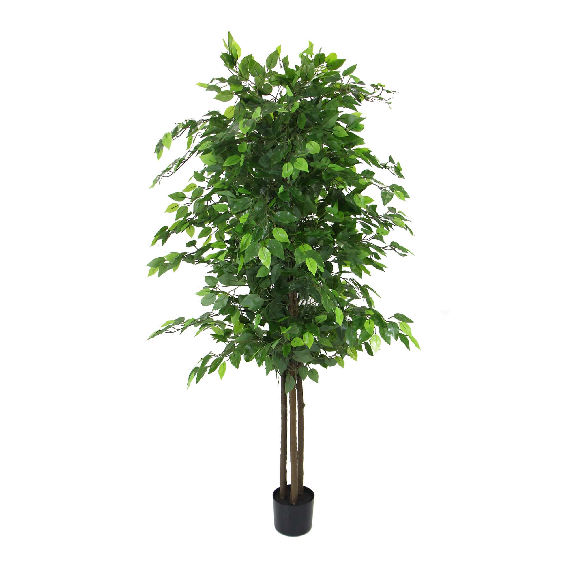 Artificial ficus tree with dense green leaves in a black pot