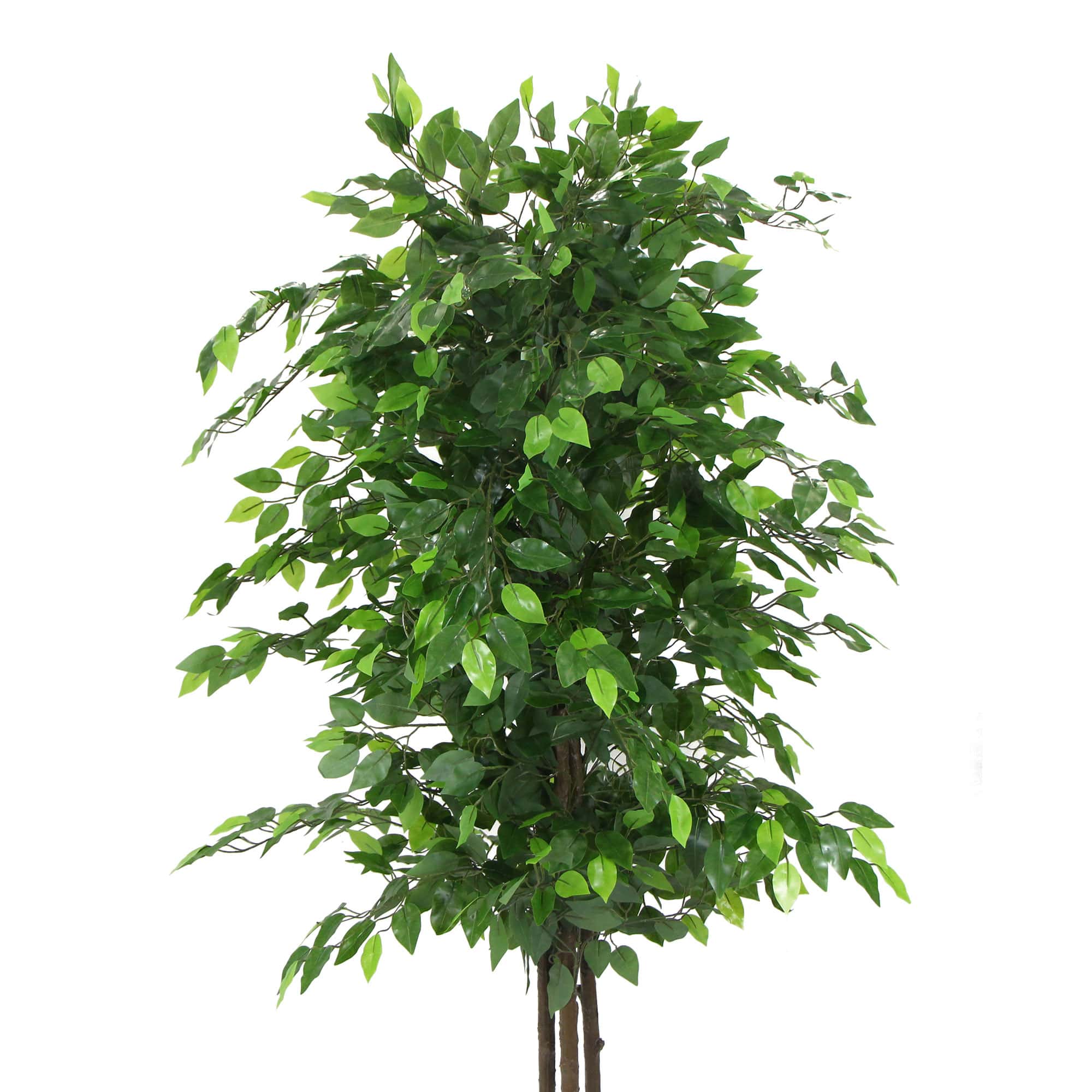 Artificial ficus tree with full green leaf canopy, brown trunks, black pot