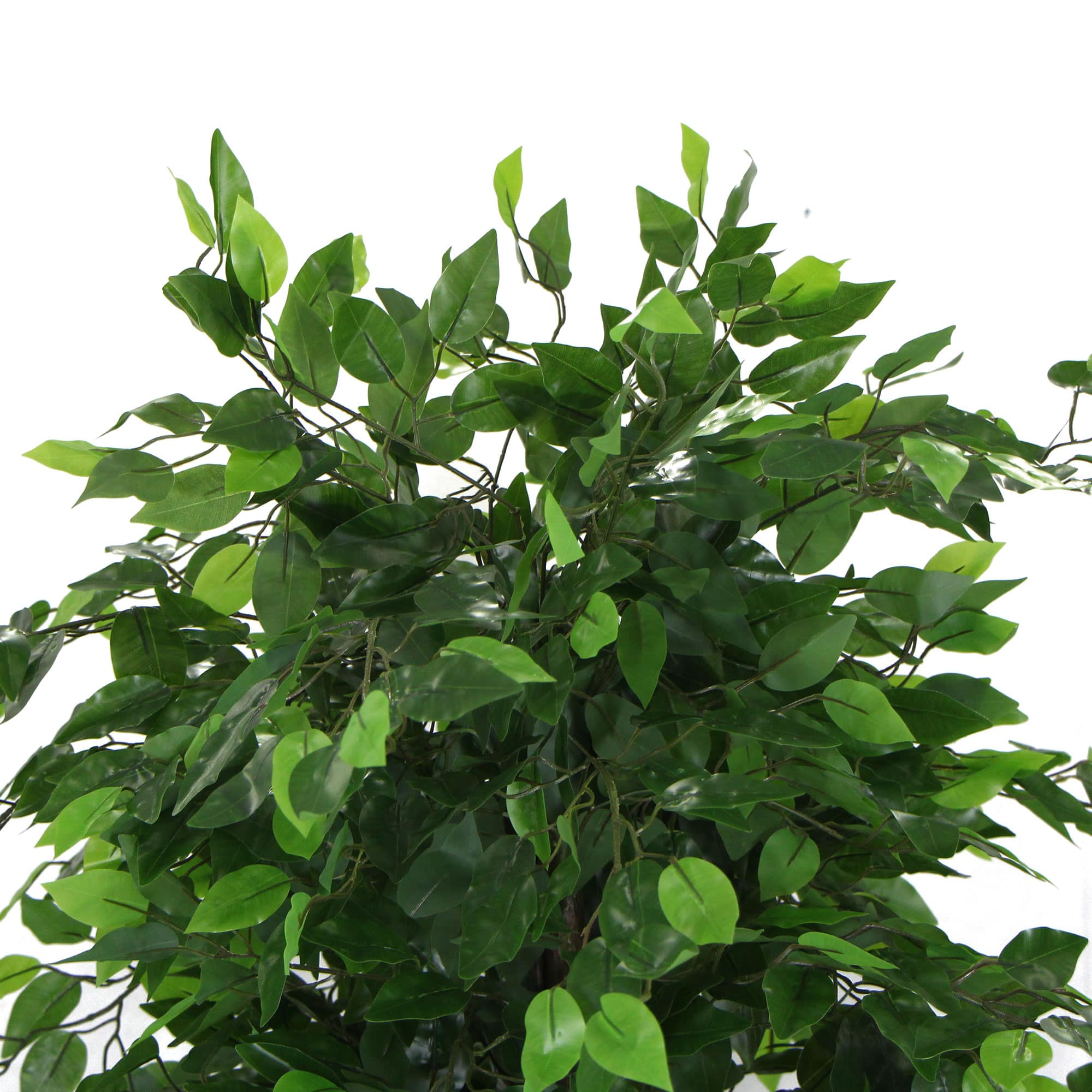 Artificial ficus tree leaves, glossy green leaf clusters on brown branches