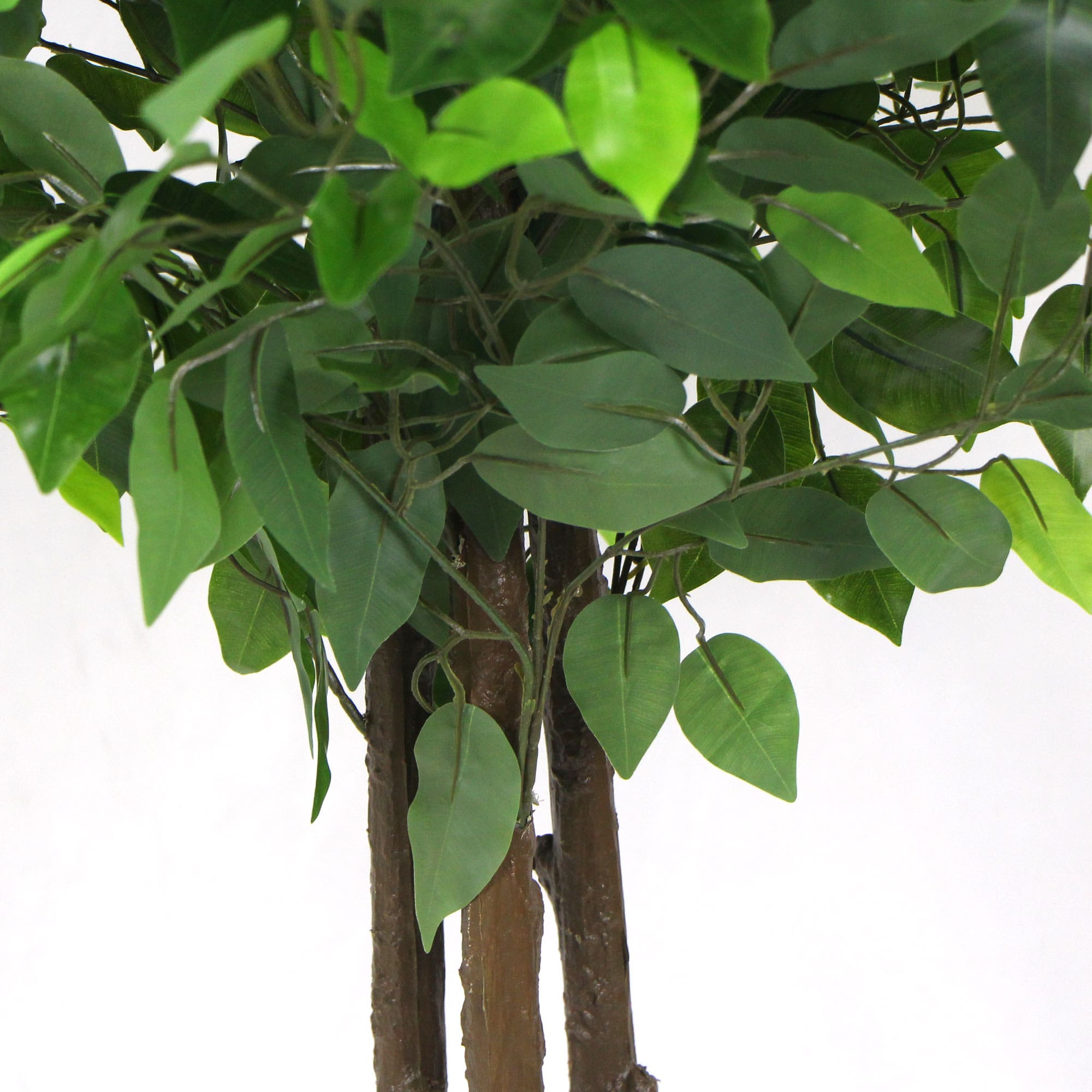 Artificial ficus tree with green leaves on brown multi-trunk base