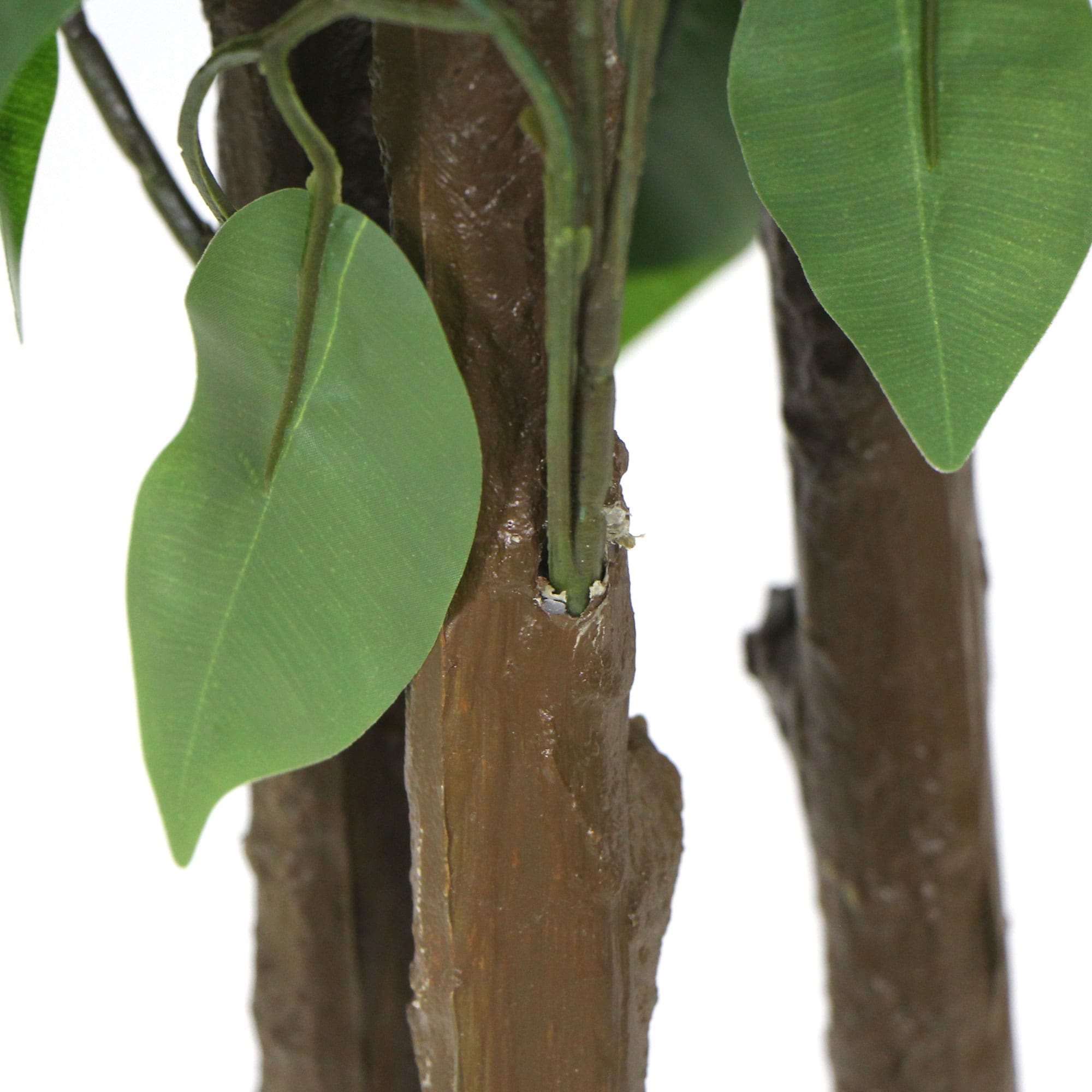Artificial ficus tree brown trunks with attached green leaves near the base