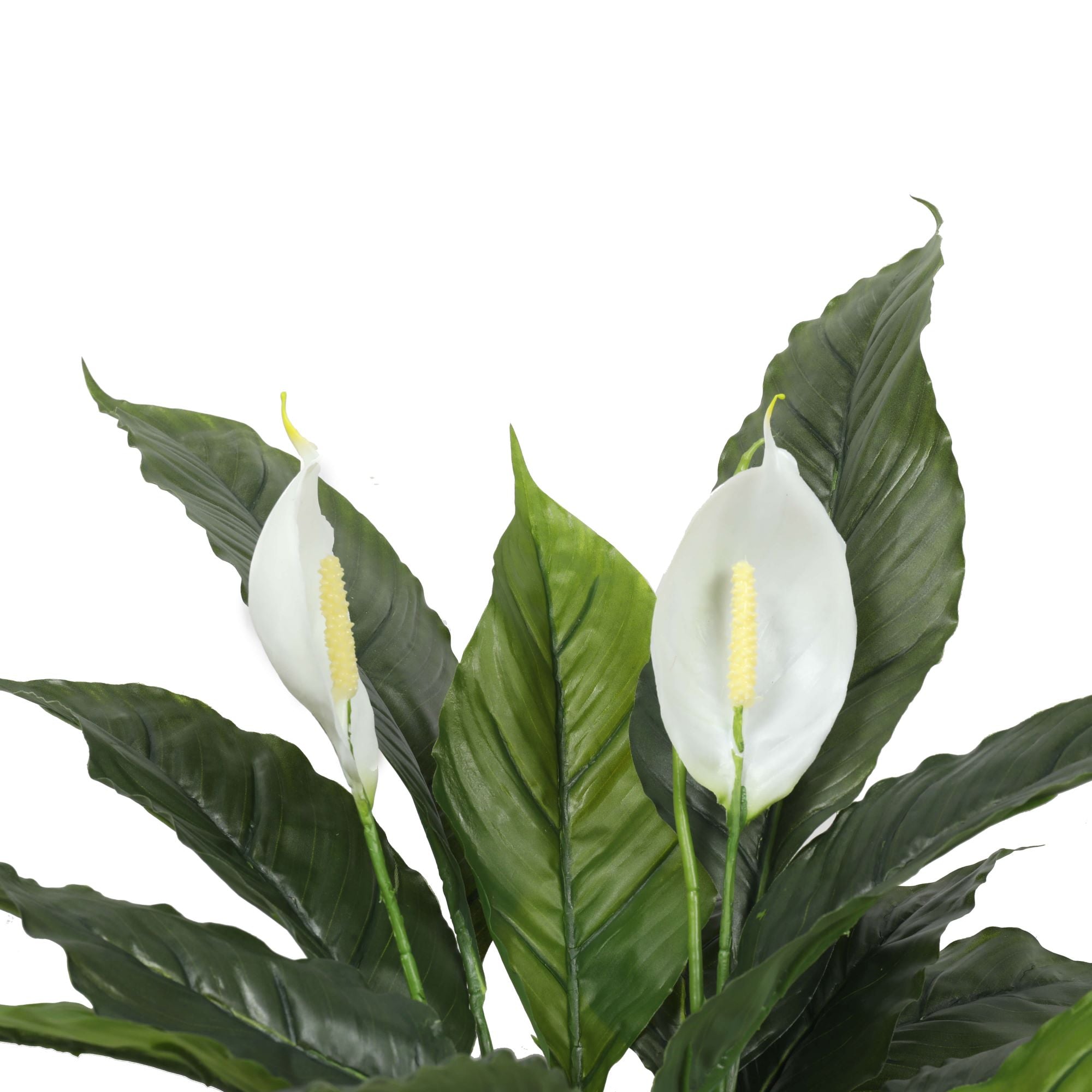Artificial Spathiphyllum Peace Lily Plant