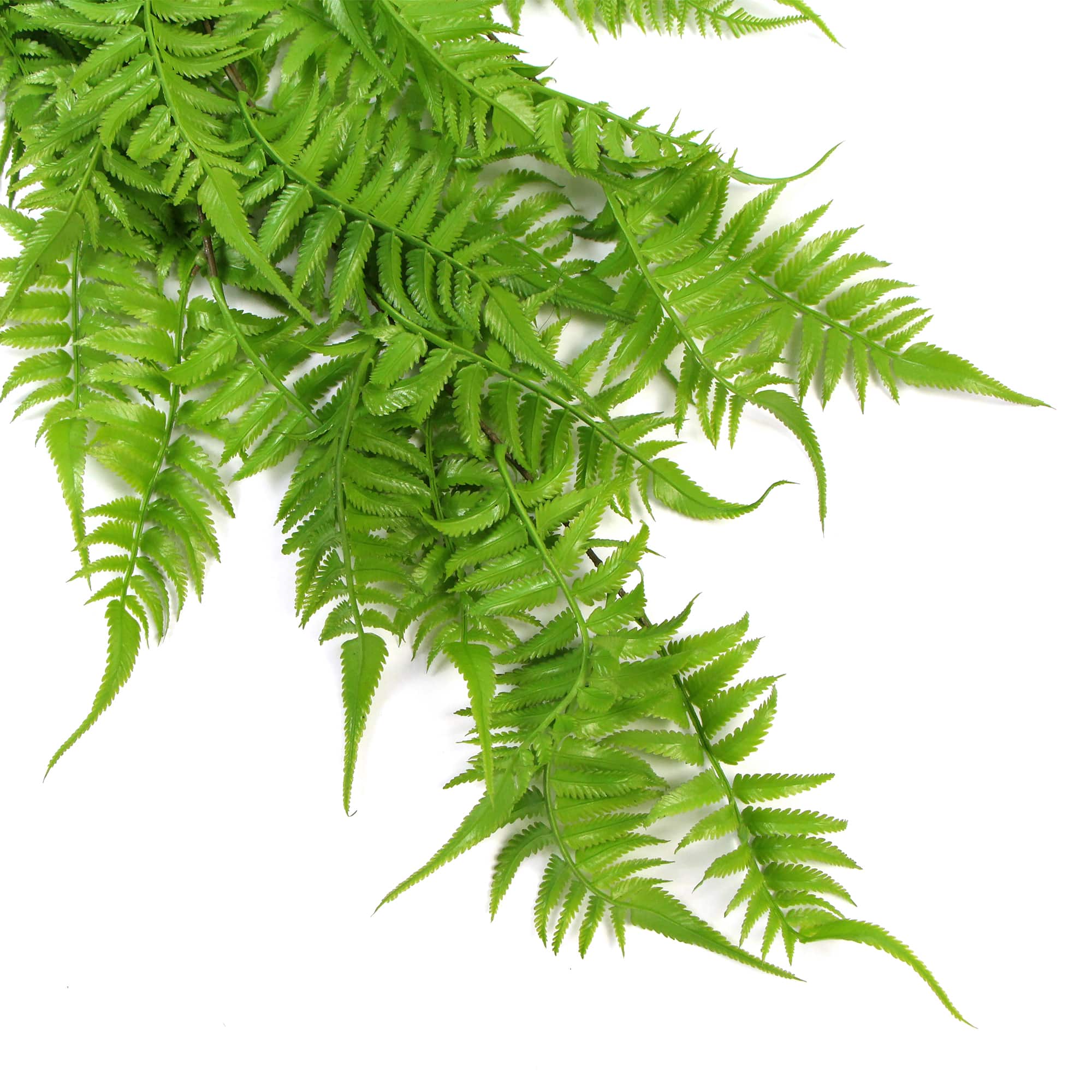 -Tone) Foliage UV Resistant 80cm