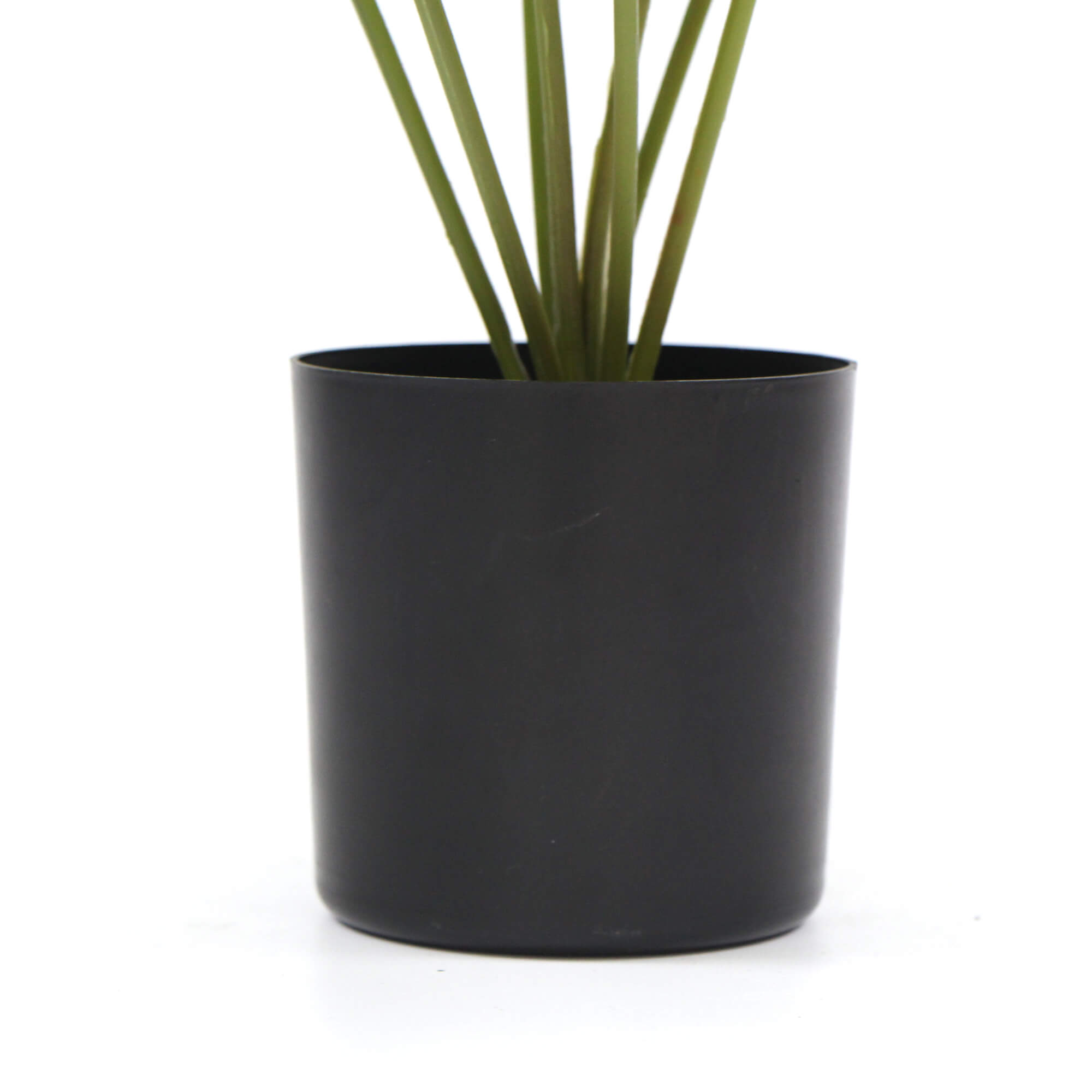 Potted Artificial Split Philodendron Plant