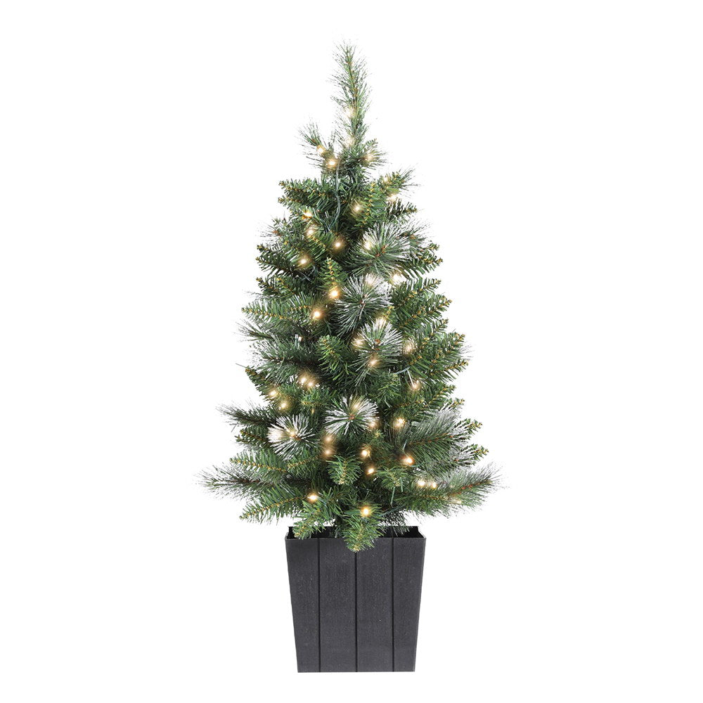 Potted Christmas tree with green needles and warm white LED lights in black pot